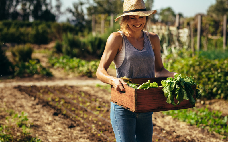 Beginner's Guide to Starting a Thriving Vegetable Garden